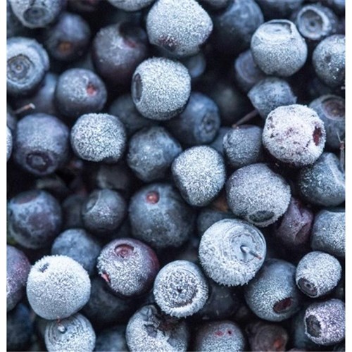 Blueberries IQF 1kg 
