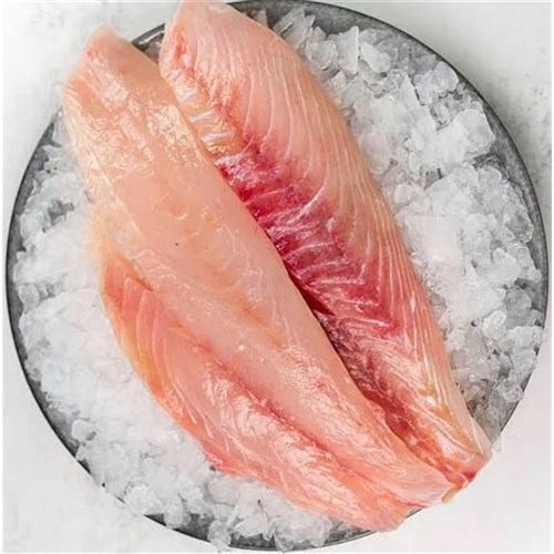 Snapper Tropical 200/300 5kg  