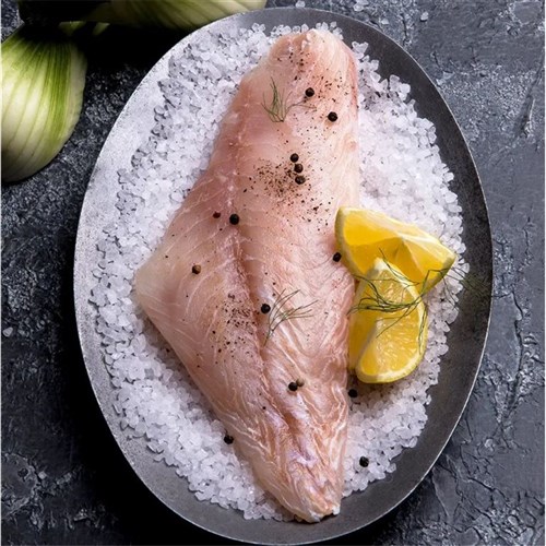 Snapper Sweetlip 200/300 5kg  