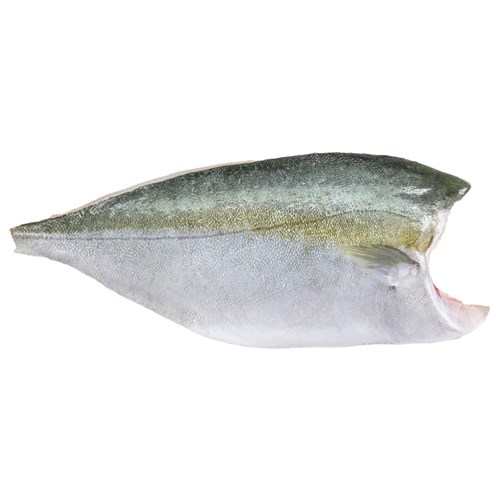 Fresh Kingfish Fillets J/Cut  R/W 