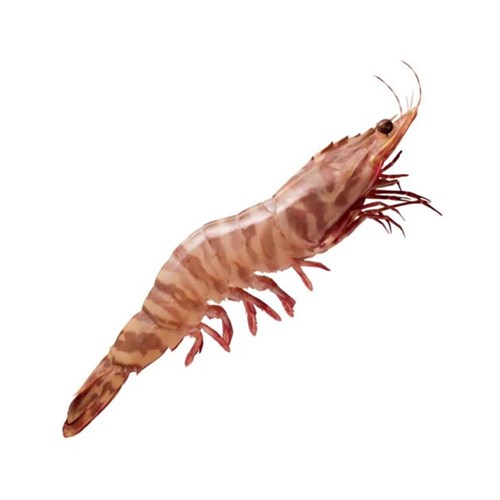 Prawn Whole Raw Tiger 6/8  3kg