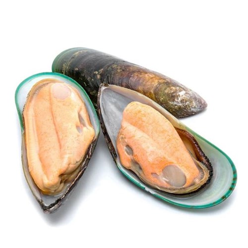 Mussel 1/2 Shell XL NZ 1kg 