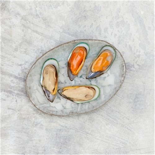 Mussel Greenlip 1/2 Shell NZ 1kg 
