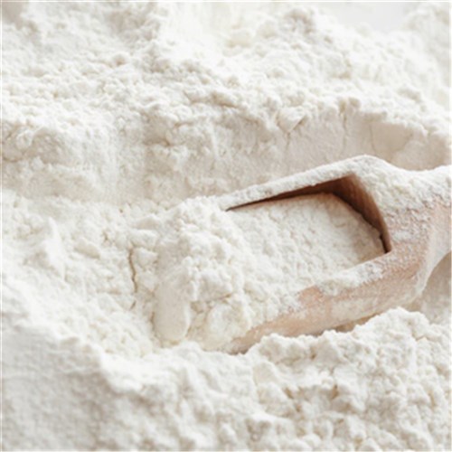Flour Plain All Purpose 500G Gluten Free