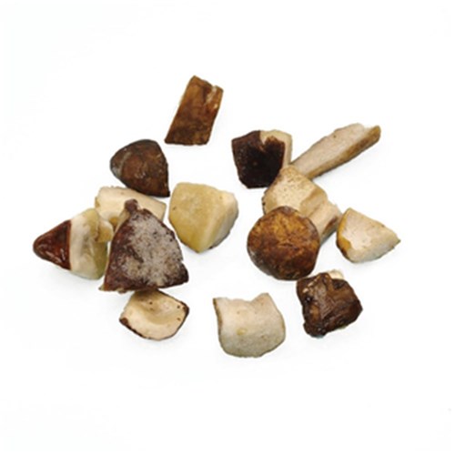 Champi'Gel Iqf Porcini Cubes 1KG 